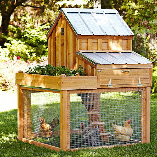How To Build A Cheap Chicken Coop Plans